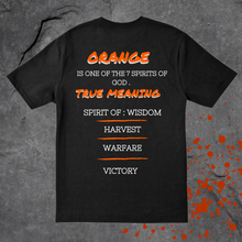 Load image into Gallery viewer, ****PRE-ORDER**** ORANGE SHIN TEE-SHIRT
